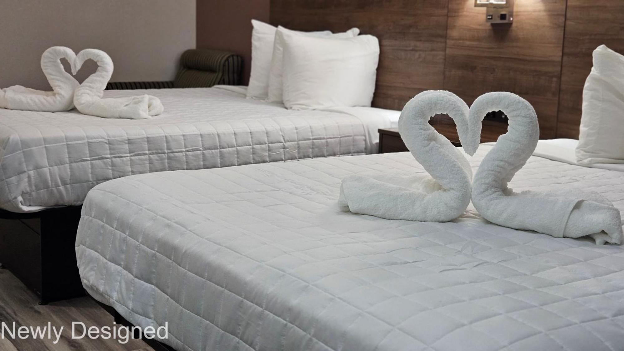 Best Western Hopkinsville Ky - Brand New Rooms Exteriör bild
